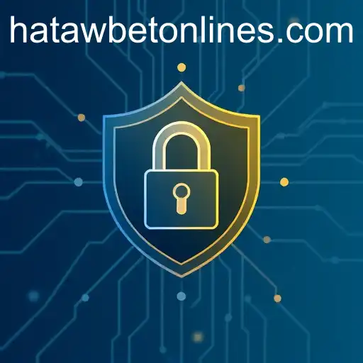 Understanding Privacy Policies: The Case of Hatawbet